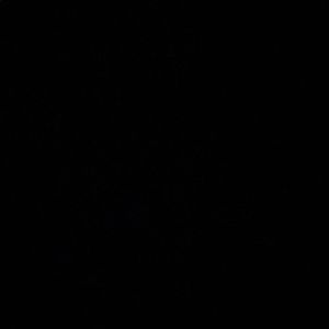 Meet your Posher, Annabella